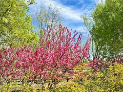 -永定河休闲森林公园