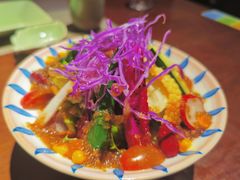 三文鱼蔬菜沙拉-松竹和日式料理(广厦店)