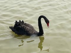 -南大港湿地风景区