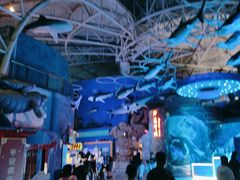 -烟台海昌鲸鲨海洋公园