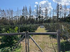 -前小桔亲子创意农场·草莓采摘·露营烧烤