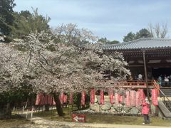 -醍醐寺