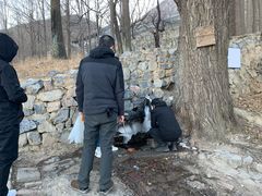 -阳台山自然风景区