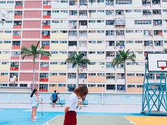 -彩虹村