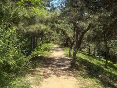 -元大都城垣遗址公园