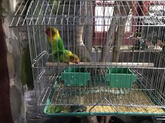 -阿鹏故事云南野生菌火锅(人民路店)