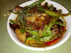 -曾牛肉