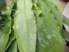 油麦菜-元盛居(生态大街店)