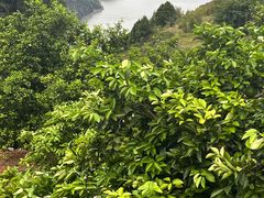 -白帝城·瞿塘峡景区