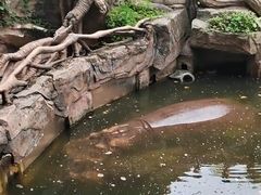 -长鹿旅游休博园