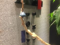 -石葵(锦业时代店)