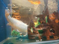 -蚝翅·海鲜粥·烧烤·龙虾季(海曙天一店)
