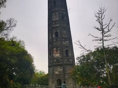 -上海佘山国家森林公园天马山园