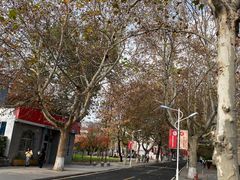 -曲阜师范大学(曲阜校区)