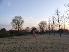 -泗洪洪泽湖湿地景区