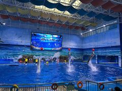 -多彩贵州城极地海洋世界