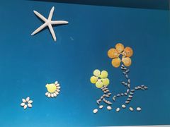 -青岛贝壳博物馆