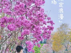 -人民广场