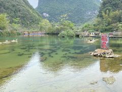 -靖西鹅泉风景区
