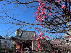 -浅草寺
