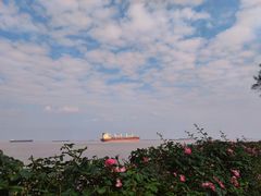 -上海滨江森林公园