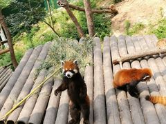 -大连森林动物园