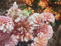 -BEAST野兽派(上海浦东嘉里城店)