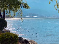 -洱海月湿地公园