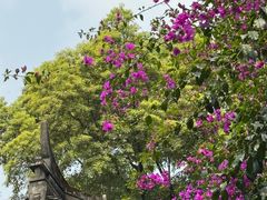 -成都杜甫草堂博物馆