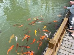 -嬉乐湾休闲旅游区