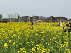 -中国天府农业博览园