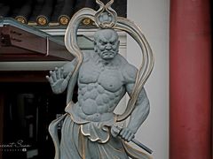 -新加坡佛牙寺龙华院