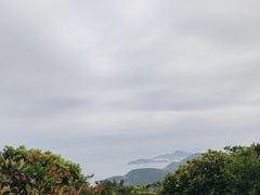 -浪茄湾
