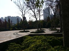 -苏州河梦清园环保主题公园