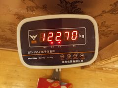 -金紫荆松骨休闲水会