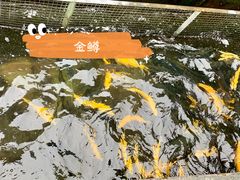 -京北渔家傲
