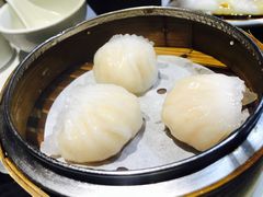 -糖朝(尖沙咀店)