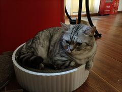 -H立方实景剧情密室(天河旗舰店)