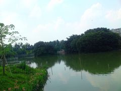 -长洲岛