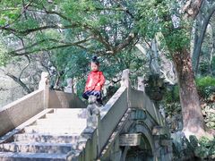 -绮园景区