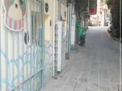 -猫咪博物馆(顶澳仔猫街店)