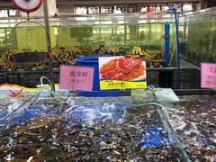 水产区-东江海鲜酒家(艺都分店)