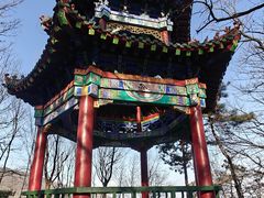 -沂蒙山旅游区云蒙景区(蒙山国家森林公园)
