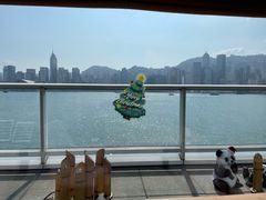 -DFS迪斐世(香港广东道店)