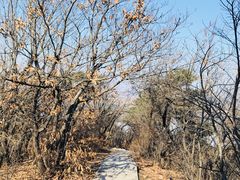 -沈阳辉山风景区