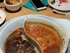-青瓷火锅料理(西单大悦城店)