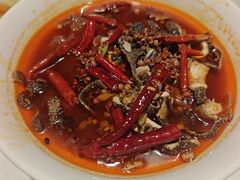 -金成潮菜博物馆(海珠湿地店)
