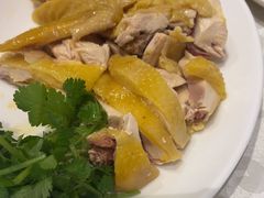 -黄B湛江鸡饭店(粤垦路店)