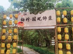 -西溪国家湿地公园