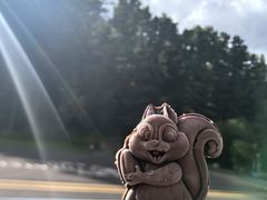 -五营红松林海景区